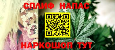 гашик Будённовск