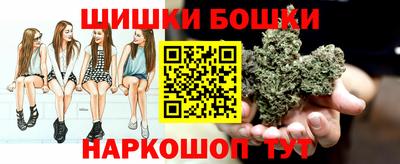 гашик Будённовск