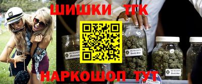 гашик Будённовск