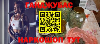 гашик Будённовск