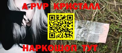 гашик Будённовск