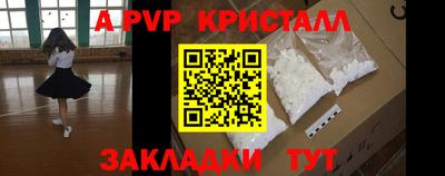 гашик Будённовск