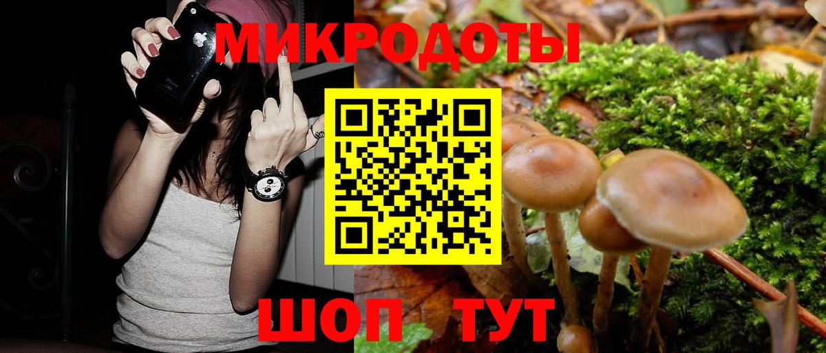 как найти закладки  Вход с VPN  Среднеуральск  Псилоцибиновые грибы прущие грибы 
